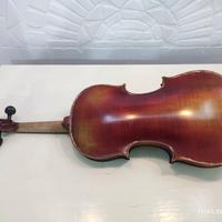 violino 4/4 marezzato 