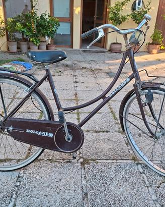 bicicletta da città olandese