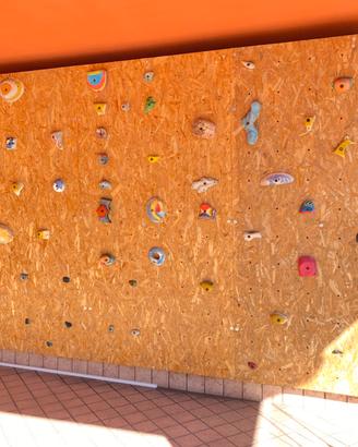 Pannelli/parete arrampicata