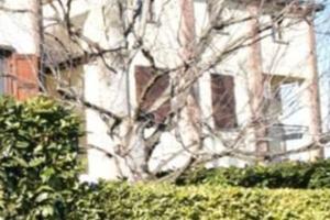 Appartamento a Felino