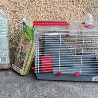 attrezzatura per criceto