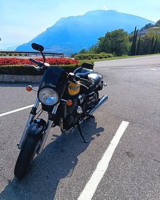 triumph Thunderbird sport