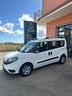 fiat-doblo-doblo-1-6-mjt-105cv-s-s-pc-combi-n1-lou