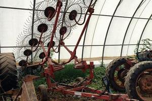 Ranghinatore Tonutti con 12 pettini