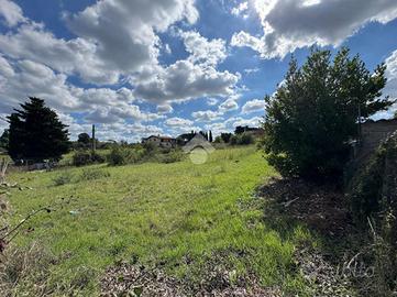 TER. AGRICOLO A ROMA