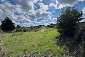 TER. AGRICOLO A ROMA