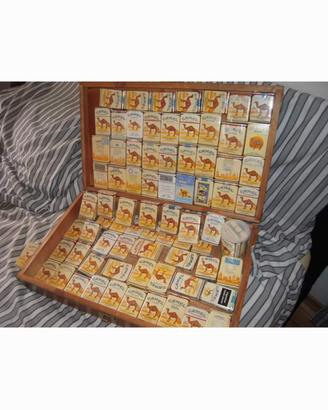 collezione pacchetti camel 