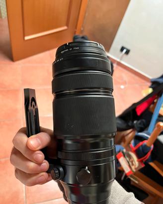 Fujifilm 100/400