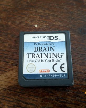 Brain Training Nintendo DS