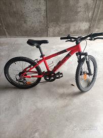 Mountain bike 20'