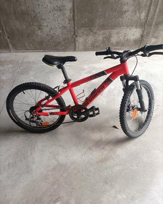 Mountain bike 20'