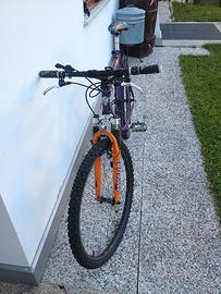 MTB ruote da 26 