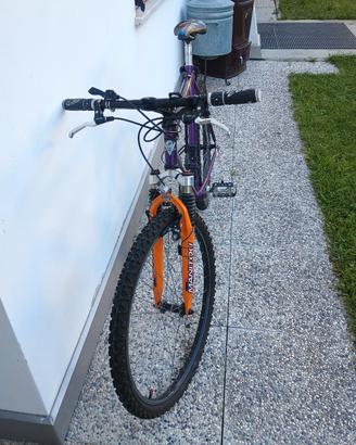 MTB ruote da 26 
