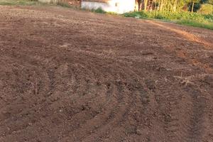 Orto a 3.5 km da VITERBO centro