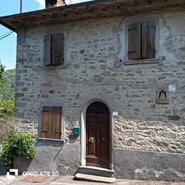 Terra tetto in piccola frazione castel San Niccolò