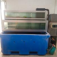 VASCA DEPURAZIONE MOLLUSCHI 