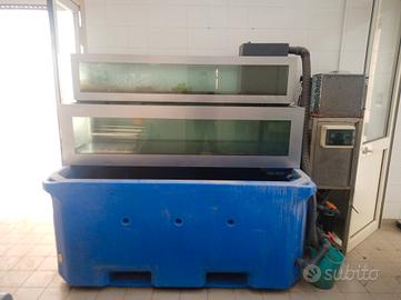 VASCA DEPURAZIONE MOLLUSCHI 