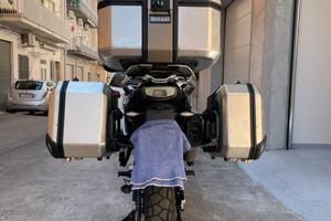 CF moto 800 MT