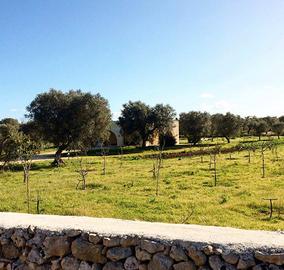 Casa vacanza per la familia in Salento