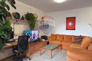 Appartamento - Sedico