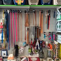 Accessori per animali