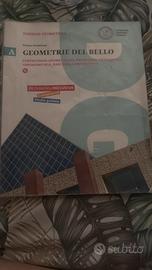 Geometrie del bello 9 788858324509