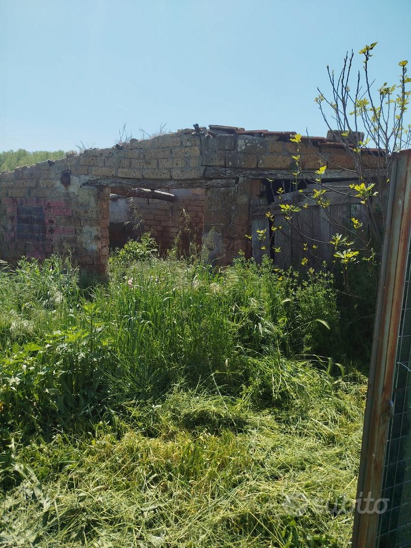 Terreno con magazzini a Nepi - Vista 2