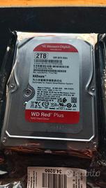 Disco WD Western Digital 2TB - Nuovo