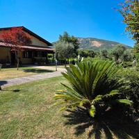 Genazzano, con parco e cantina
