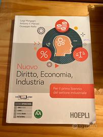 Diritto, Economia, industria