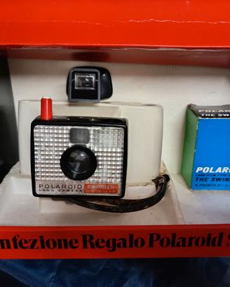 Polaroid Swinger