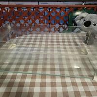 tartarughiera in vetro