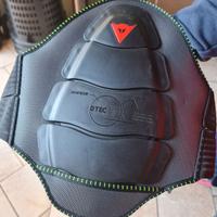 PARASCHIENA MISURA L