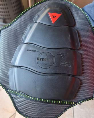 PARASCHIENA MISURA L