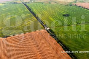 Terreno Residenziale Rovigo [RO2909VRG]