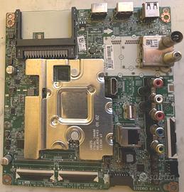 Scheda Tv LG 43