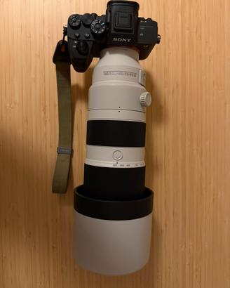 Sony a7r IV + sony 200-600 + sigma 50 mm