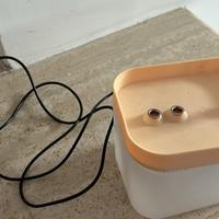 Dispenser acqua gatti