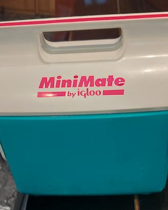 Mini frigorifero rigido MINI MATE  by igloo