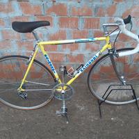 Bici da corsa Raimondi