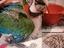 Immagine 1