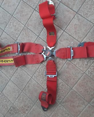 cinture sparco e sabelt