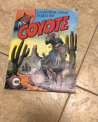 coyote 