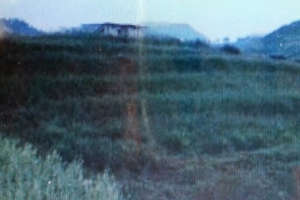 Terreno agricolo Rometta CTR.poligania