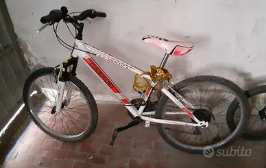 Bicicletta bambino
