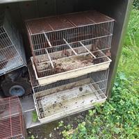 Gabbie per uccellini