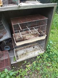 Gabbie per uccellini