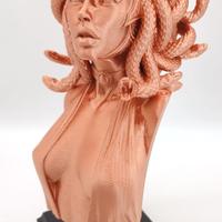 Busto Medusa Gorgone Arte Mitologia Deco 3D Print