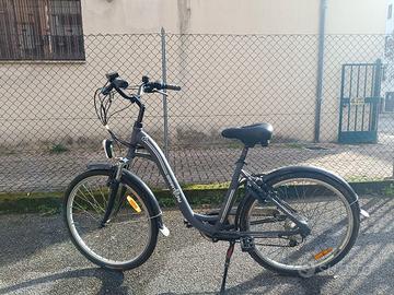 bicicletta smartway