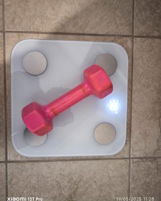 Manubrio da palestra 3kg